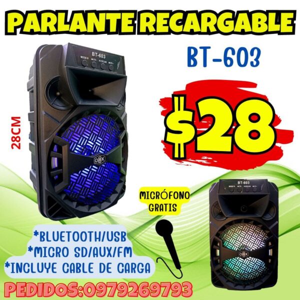 PARLANTE RECARGABLE BT 603