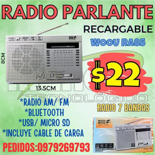 RADIO PARLANTE RECARGABLE WOOU 350